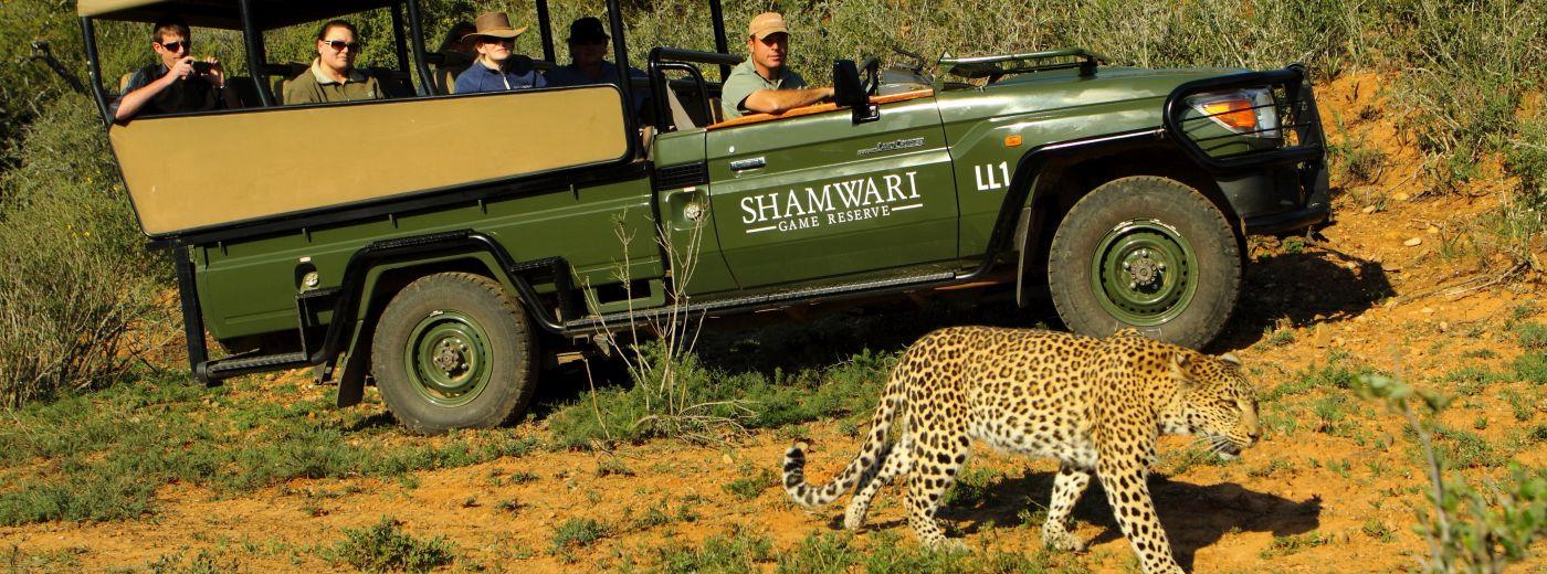 Special Offers and Discounts on Safaris in the Eastern Cape