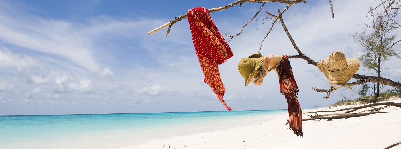 Safari and Beach Holidays