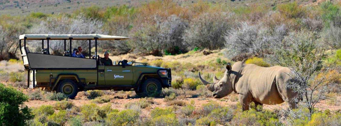 Stay 3 nights for the price of 2 at Sanbona Wildlife Reserve