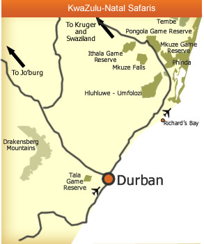 KwaZulu-Natal Safaris