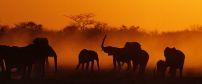 Great Namibian Journey (13 days / 12 nights)