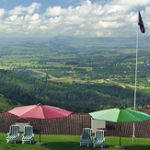 Mountain Inn