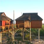 The Stiltz Lodge