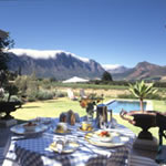 The Cape Winelands