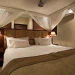 Shepherd's Tree Game Lodge