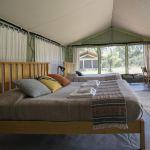 Porini Lion Camp