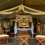 Mara Intrepids Camp