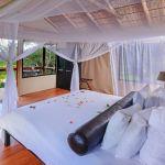 Chisomo Safari Camp
