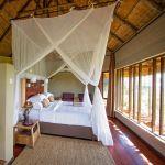 Ngoma Safari Lodge: Stay 3 nights for the price of  2
