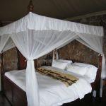 Mbalageti Safari Lodge