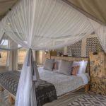 Ubuntu Camp: Stay 3 nights for the price of 2