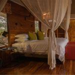 Sayari Camp: Stay 3 nights for the price of 2