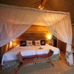 Mkuze Falls Tented Lodge