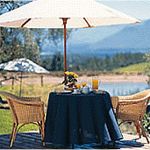 The Cape Winelands