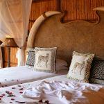 Mkuze Falls Game Lodge