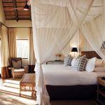 Londolozi Pioneer Camp