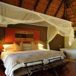 Bongani Mountain Camp