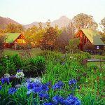 Tsitsikamma Lodge