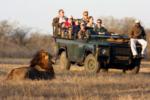 Game Viewing At Savanna, Sabi Sand Game Reserve, &copy;Savanna Private Game Reserve