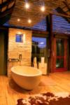 Stunning Bathroom, Shamwari Game Reserve, &copy;Bayethe Lodge