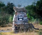 Welcome to Long Lee!, Shamwari Game Reserve, &copy;Long Lee Manor