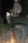 Night Drive, Sabi Sand Game Reserve, &copy;Inyati Private Game Reserve