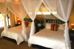 Standard Room, Sabi Sand Game Reserve, &copy;Inyati Private Game Reserve