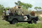 Game Drive, Sabi Sand Game Reserve, &copy;Inyati Private Game Reserve