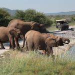 Tau Game Lodge