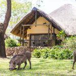 Chobe Marina Lodge