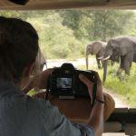 Lake Manyara Tree Camp