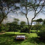 6 Night Escorted Safari Packages