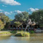 Gomo Gomo Game Lodge