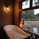 Hamilton's Tented Camp