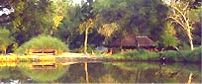 Idube Private Game Reserve