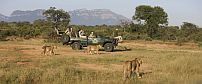 Kapama Buffalo Camp