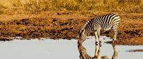 Jaci's Safari Lodge