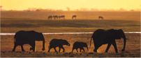 Kwa Maritane Bush Lodge