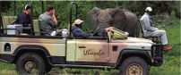 Ulusaba Safari Lodge