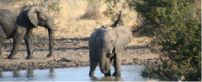 Entabeni Kingfisher Lodge