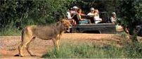Kwa-Mbili Game Lodge