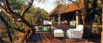 Royal Malewane Safari Lodge
