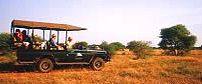 Etali Safari Lodge