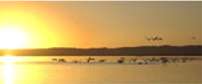 Zululand Safari Lodge