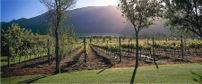 Constantia Uitsig