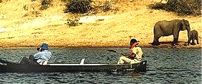 Chobe Game Lodge