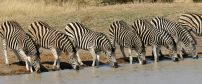 Tintswalo Safari Lodge