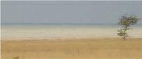 Onguma Plains Camp