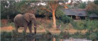 Sabi Sabi Bush Lodge