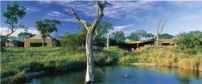 Sabi Sabi Earth Lodge